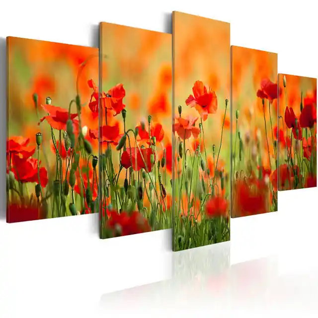 Ofertă Tablou - Poppies in vivid colors