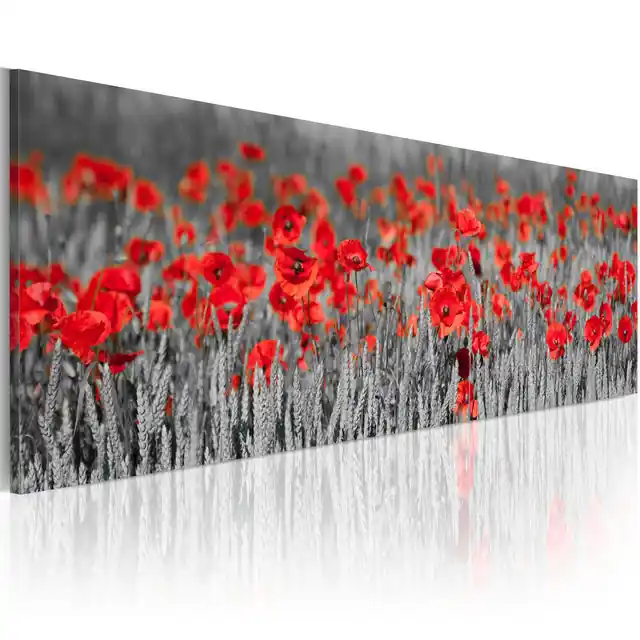 Preț redus Tablou - Poppies among fields of wheat
