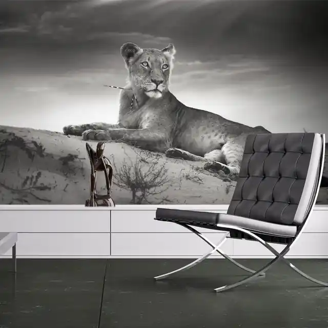 Fototapet - Black and white lioness Preț mic