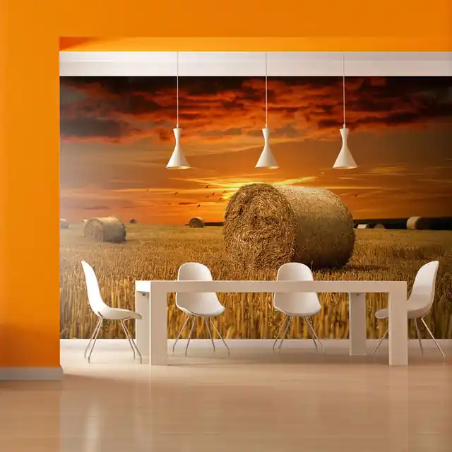 Livrare expres Fototapet - Fields of gold