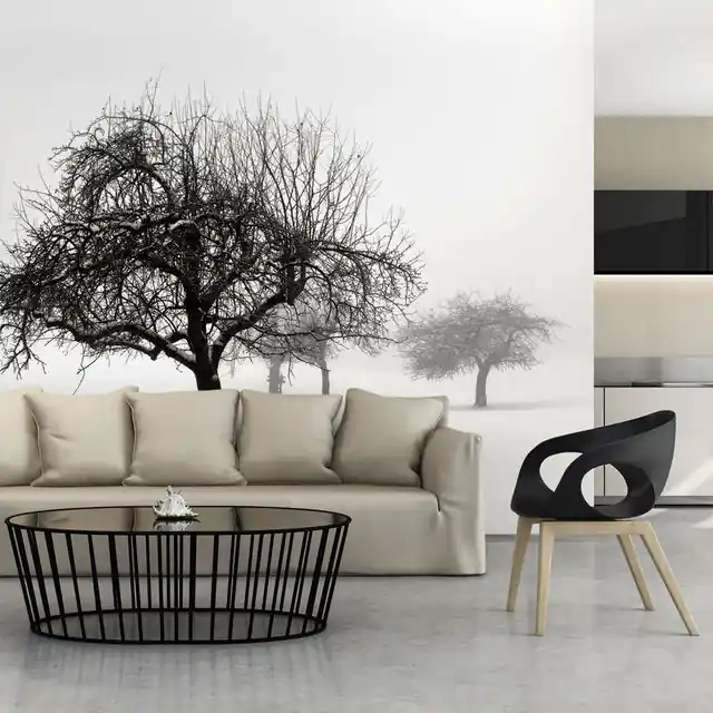 Premium Fototapet - Winter Trees