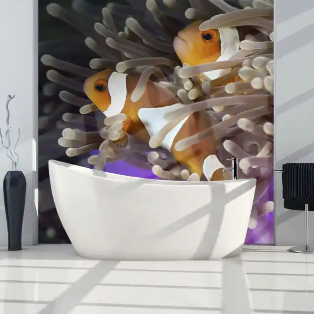 Livrare rapidă Fototapet - Clownfish