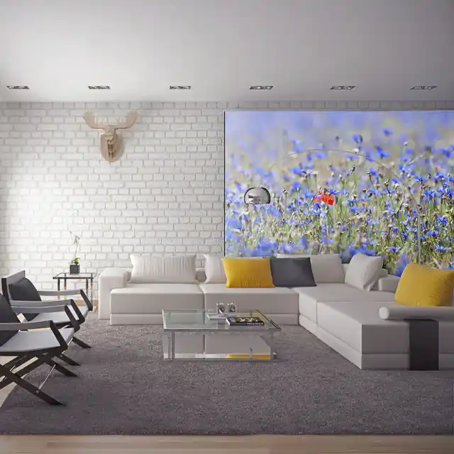 Nu rata Fototapet - A sky-colored meadow - cornflowers