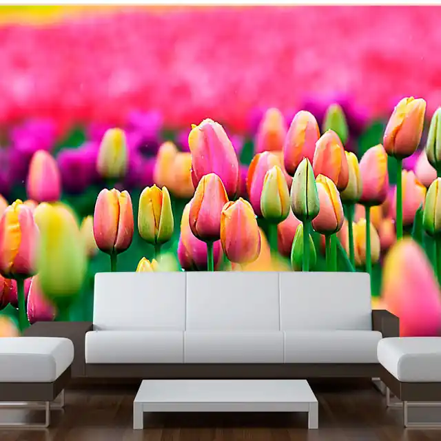 Fototapet - Field of tulips Ofertă limitată