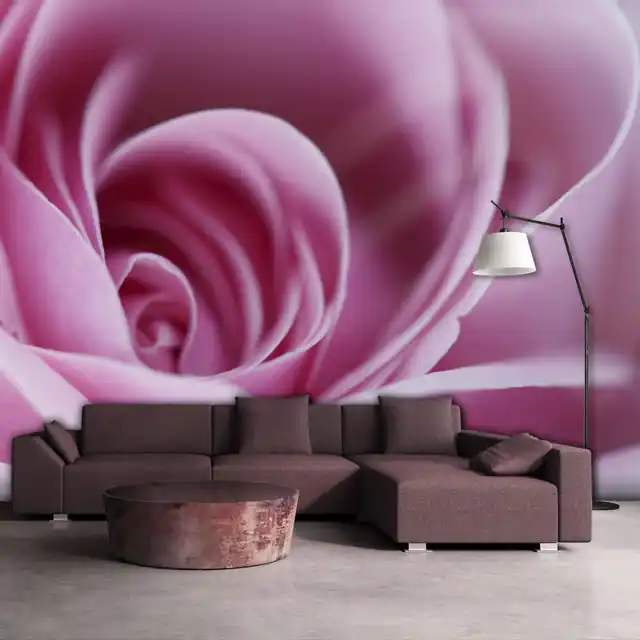 Fototapet - Pink rose Noutate