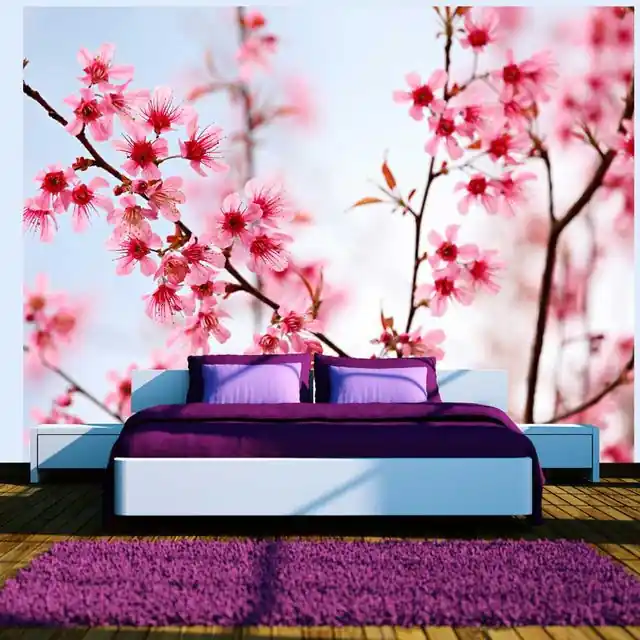 Fototapet - Symbol of Japan - sakura flowers Reducere