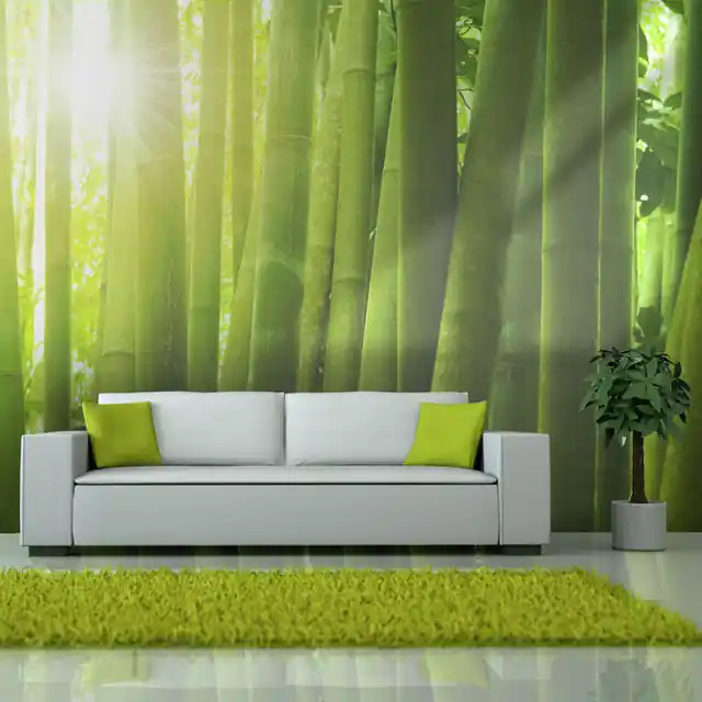 Chilipir Fototapet - Sun and bamboo