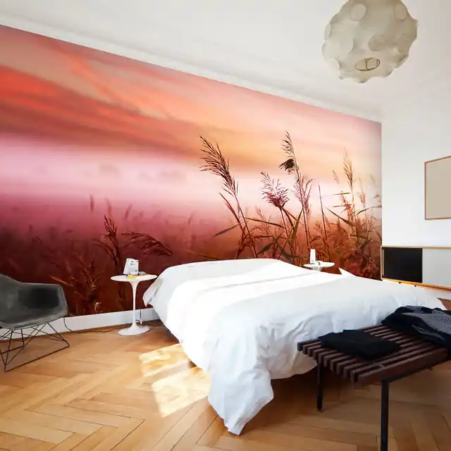 Reducere de preț Fototapet - Morning meadow