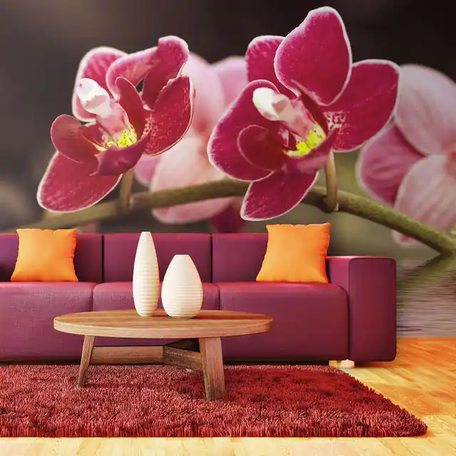 Discount Fototapet - Beautiful orchid flowers on the water