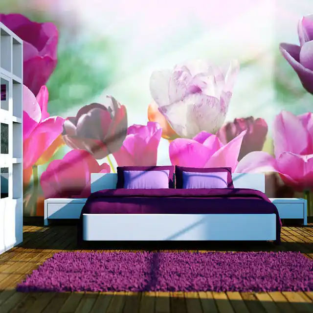 Vezi acum Fototapet - Beautiful spring flowers, tulips