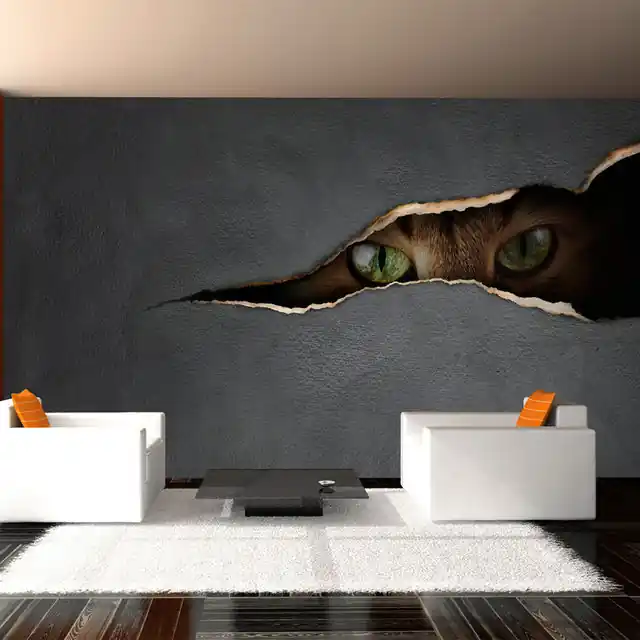 Fototapet - Cat‘s glance Cel mai vândut