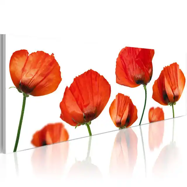 Livrare expres Tablou - Poppies on a white background