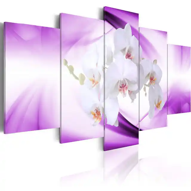 Promoție Tablou - Orchids are a wonderful plant