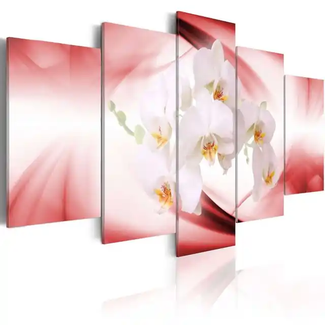 Tablou - An orchid flower in pink and white Noutate