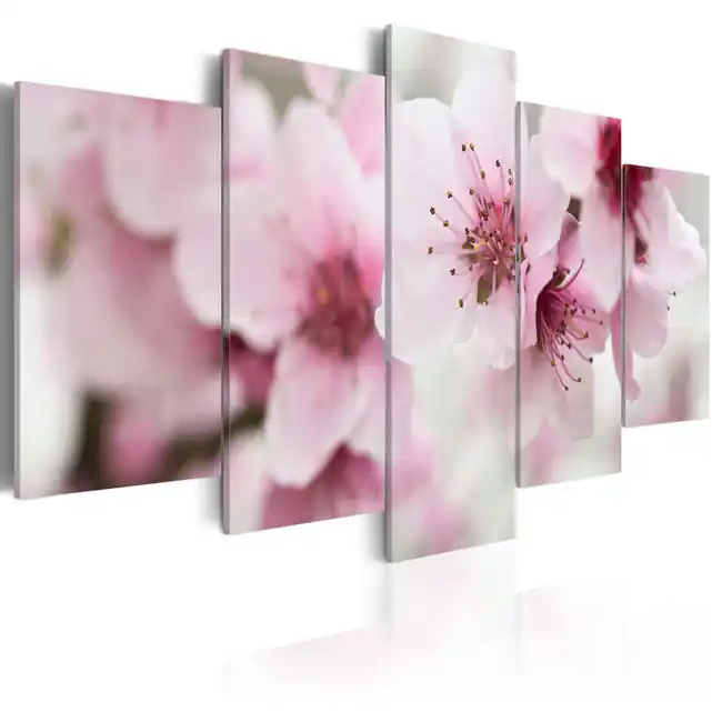 Reducere Tablou - Cherry- gentleness and beauty