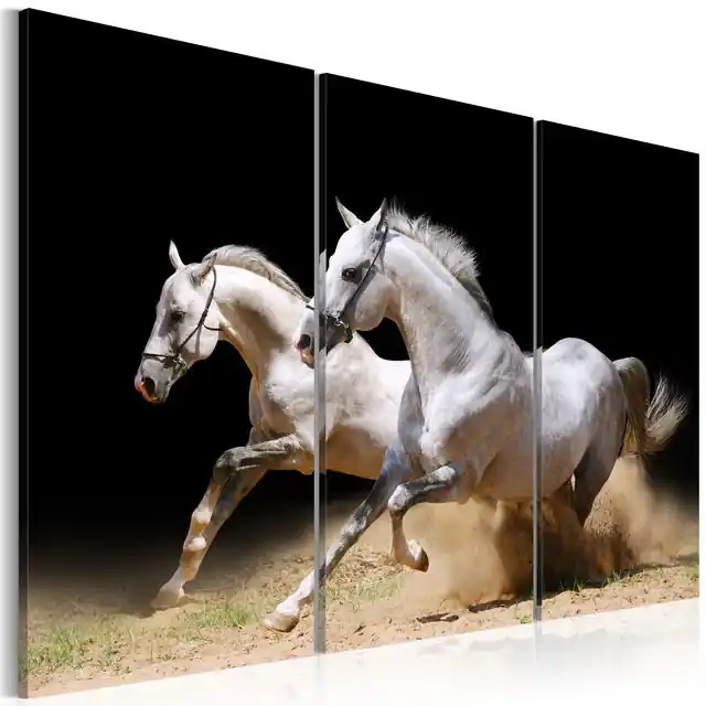 Tablou - Horses- power and velocity Cel mai bun preț