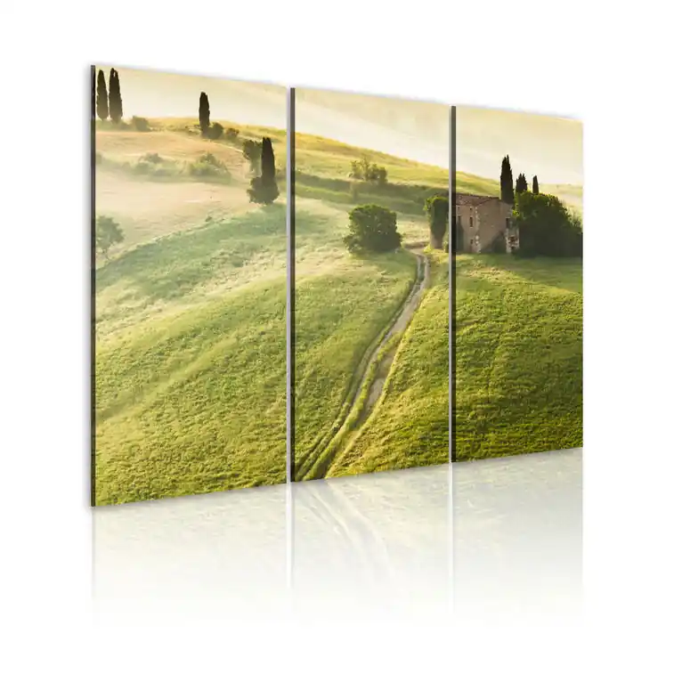 Tablou - Under the Tuscan Sun Calitate înaltă