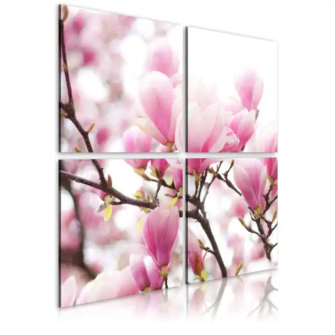 Preț redus Tablou - Blooming magnolia tree