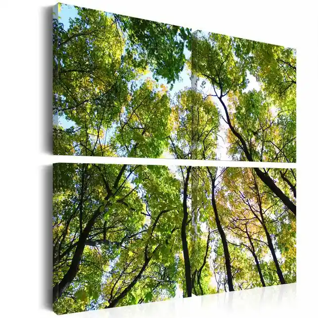 Tablou - Treetops Reducere extra