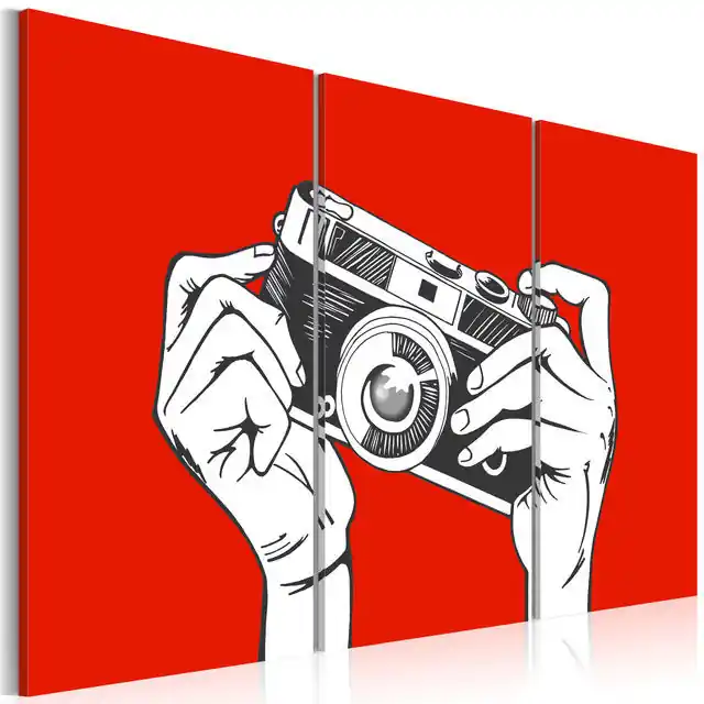 Ofertă exclusivă Tablou - A photographer