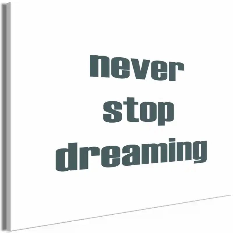 Retur gratuit Tablou - Never Stop Dreaming (1 Part) Wide