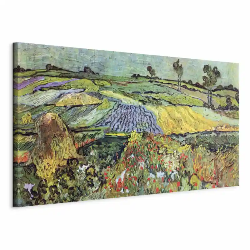 Plată sigură Tablou - Fields in Auvers