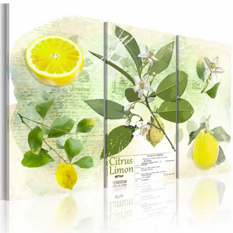 Ultima șansă Tablou - Fruit lemon