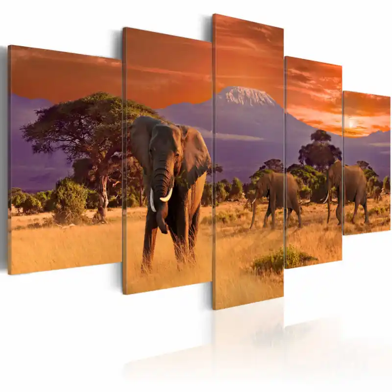Cumpărături sigure Tablou - Africa Elephants