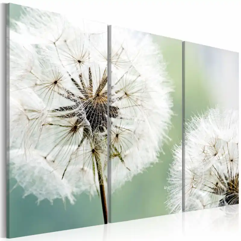 Tablou - Fluffy dandelions Reducere specială