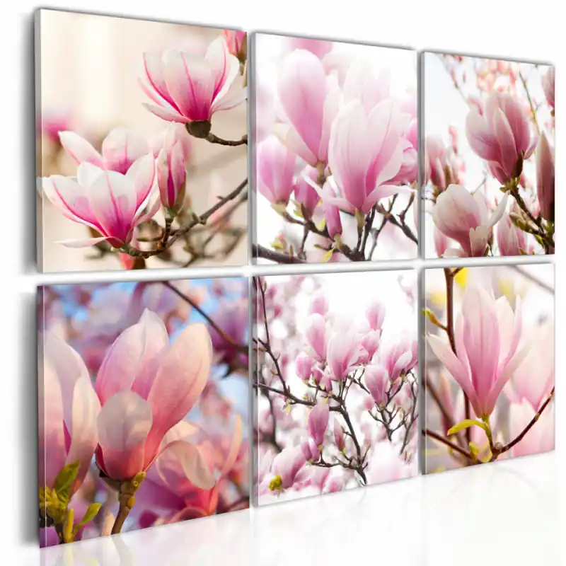 Reducere de preț Tablou - Southern magnolias