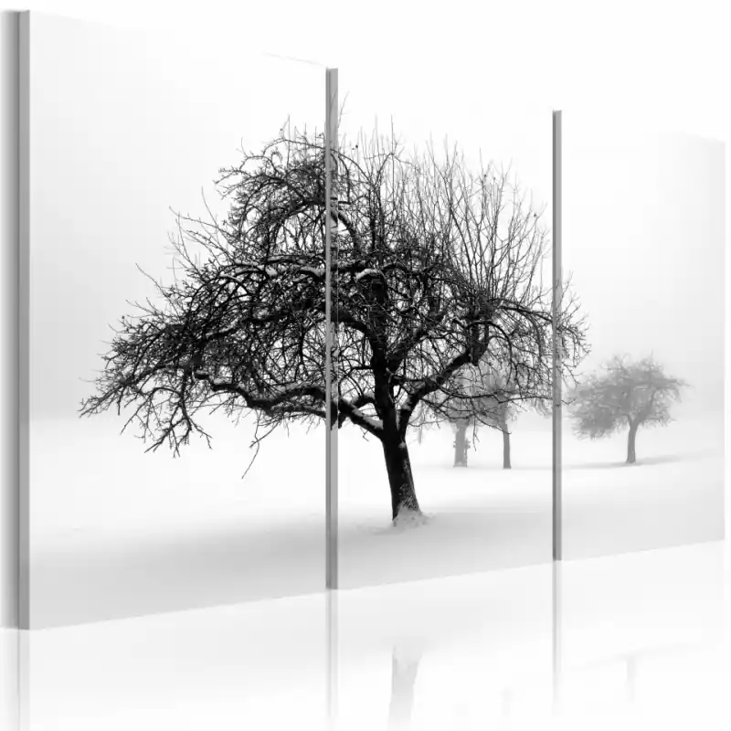 Tablou - Trees submerged in white Ofertă limitată