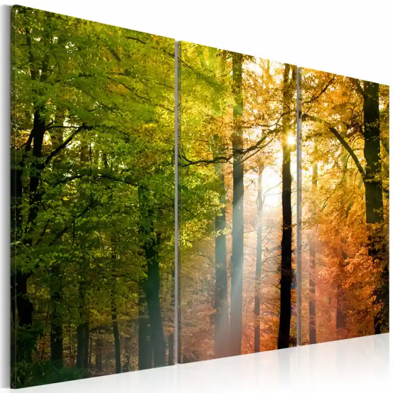 Retur ușor Tablou - A calm autumn forest