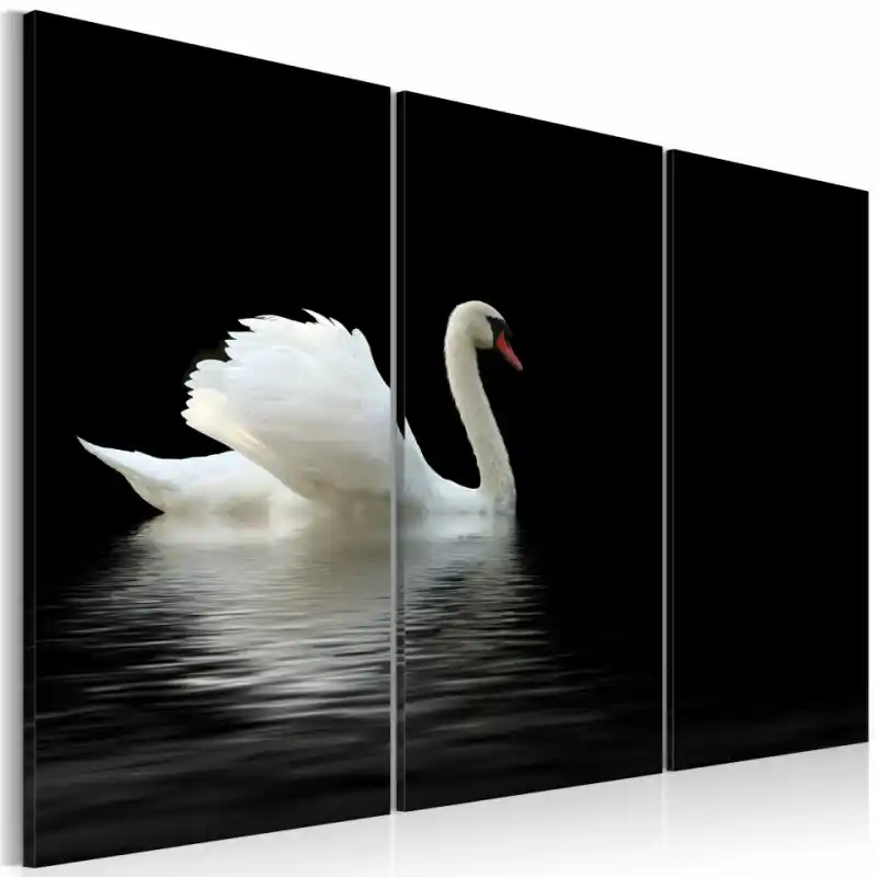 Reduceri Tablou - A lonely white swan