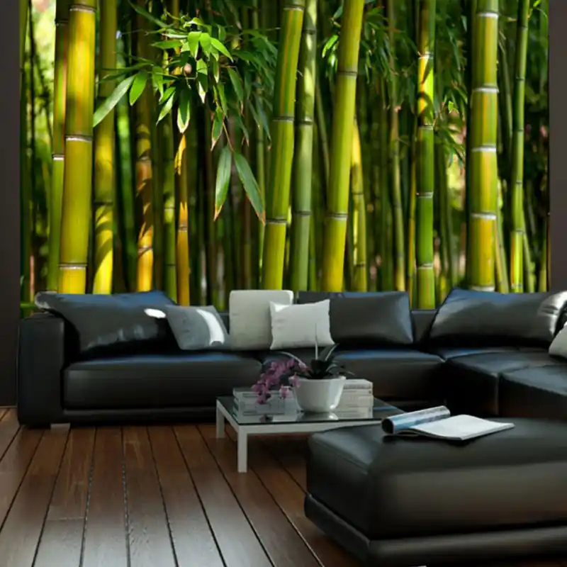 Cel mai bun preț Fototapet - Asian bamboo forest