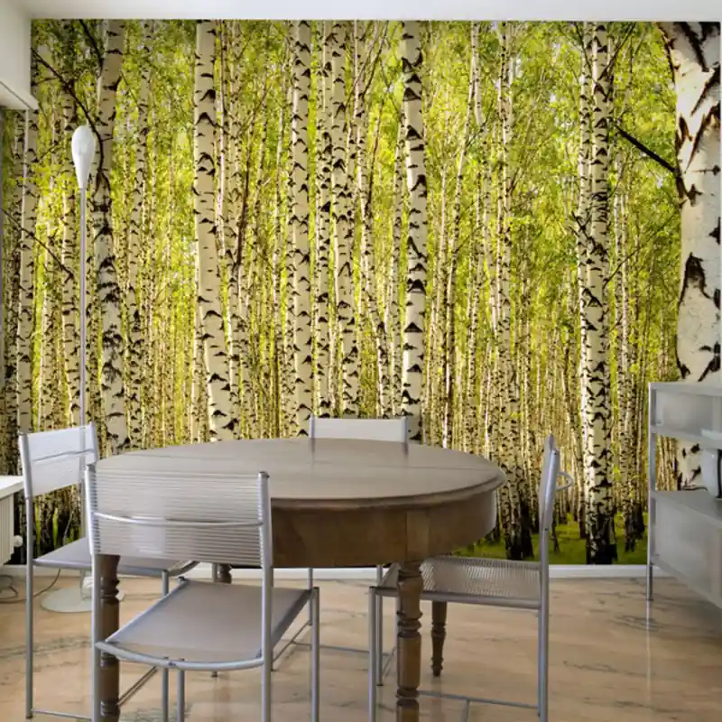 Vezi acum Fototapet - Birch forest
