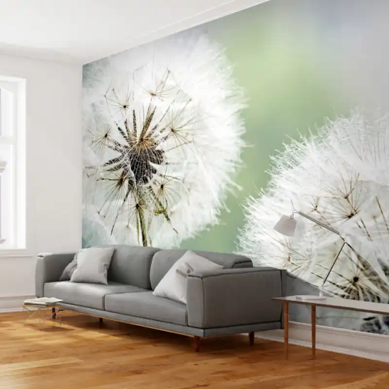 Fototapet - Two dandelions - lichidare stoc Mai ieftin