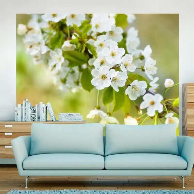 Fototapet - Beautiful delicate cherry blossoms Ofertă exclusivă