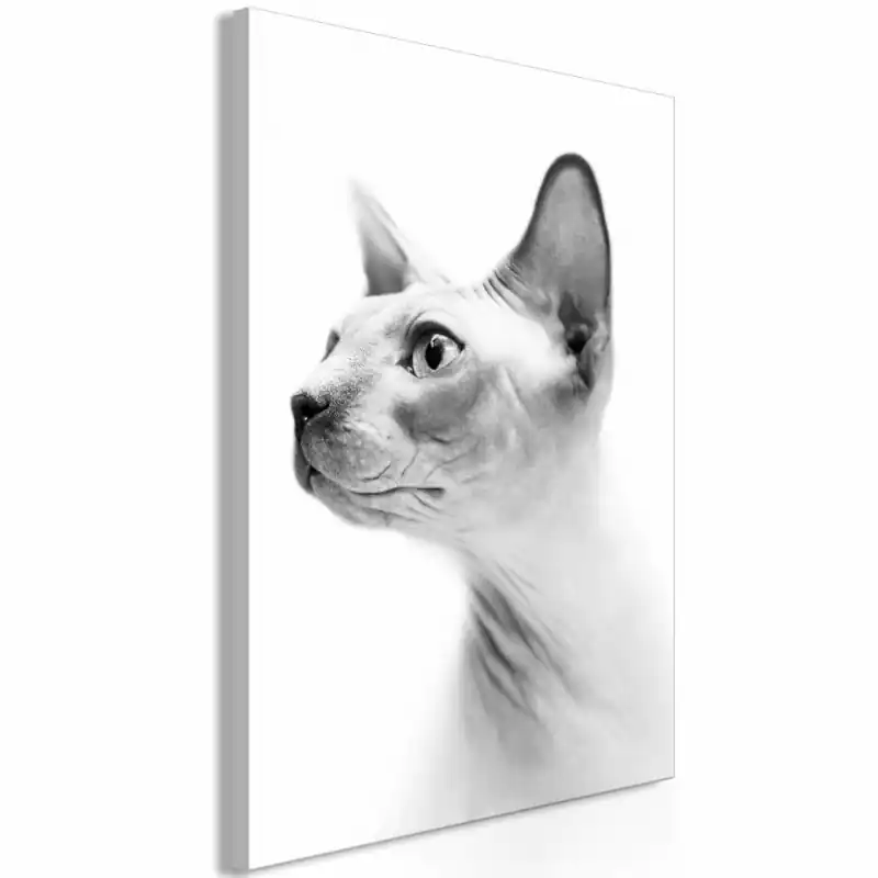 Ultima șansă Tablou - Hairless Cat (1 Part) Vertical