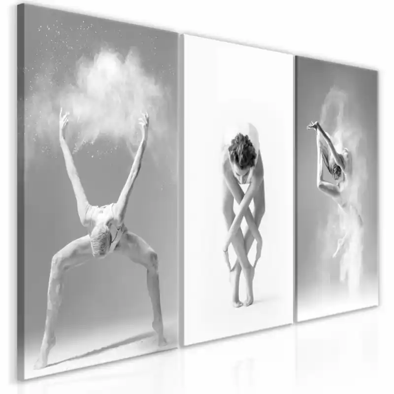 Promoție Tablou - Ballet (Collection)