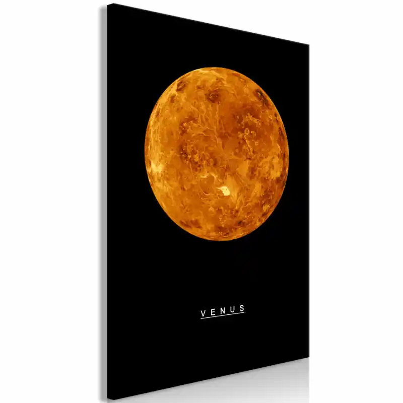 Bestseller Tablou - Venus (1 Part) Vertical