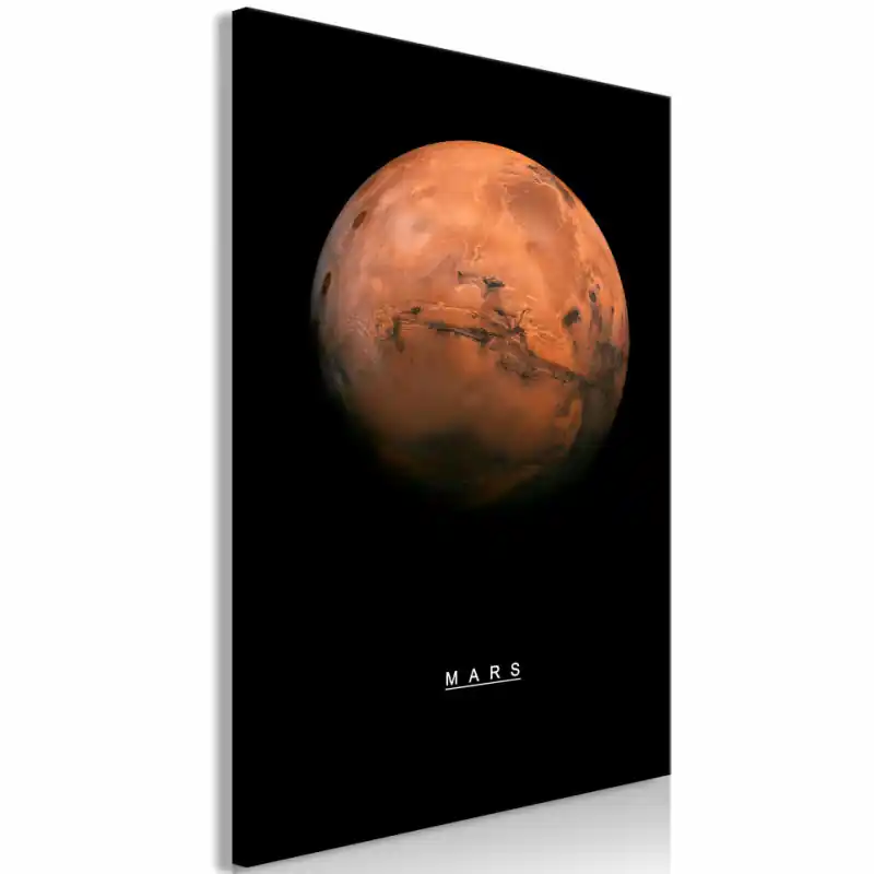 Retur ușor Tablou - Mars (1 Part) Vertical