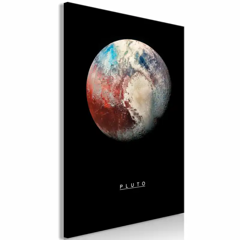 Tablou - Pluto (1 Part) Vertical Cel mai vândut