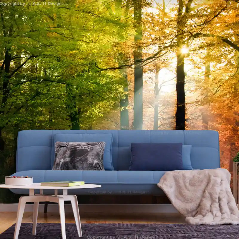 Fototapet - Forest Colours Comandă acum