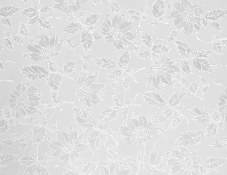 Mai ieftin Folie autocolanta d-c-fix pentru geam model translucid Floral