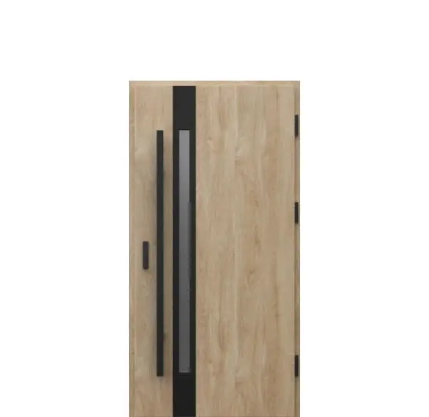 Premium Usa intrare Porta Glass G2