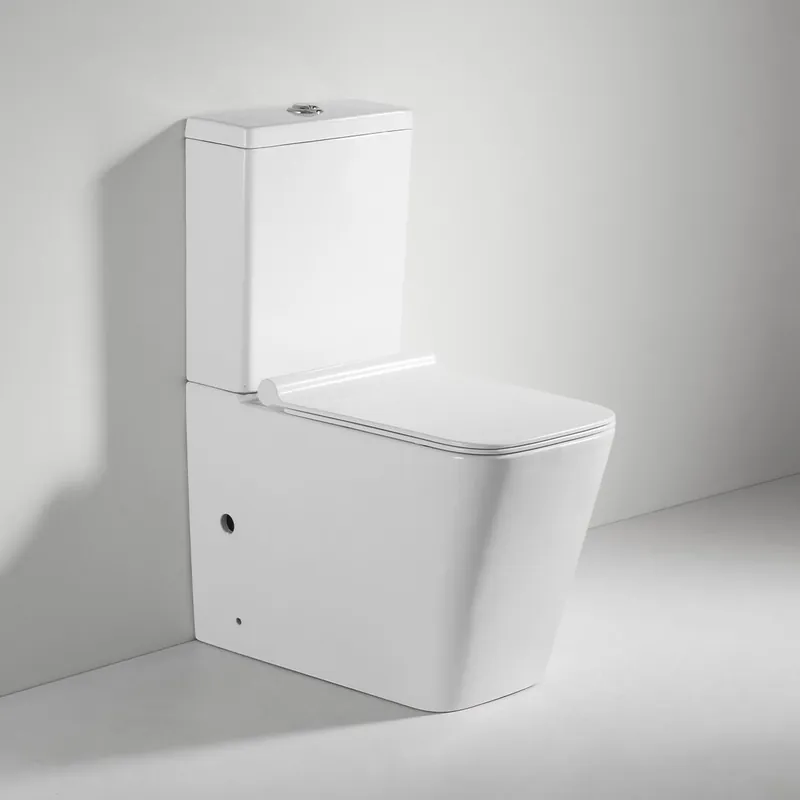 Cumpărături sigure Set vas WC pe pardoseala rimless cu rezervor Celesta Spica BTW, cu mecanism si capac duroplast cu inchidere lenta, ceramica, alb