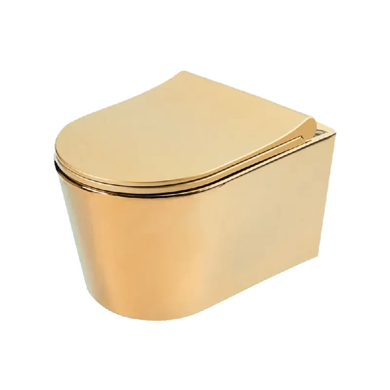Vas WC suspendat Celesta Vista, 50 x 35 cm, ceramica, capac duroplast, inchidere lenta, auriu/alb Disponibil imediat