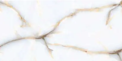 Premium GRESIE I-ZARA HI GLOSSY 60X120 CM 1.44 MP/CUT
