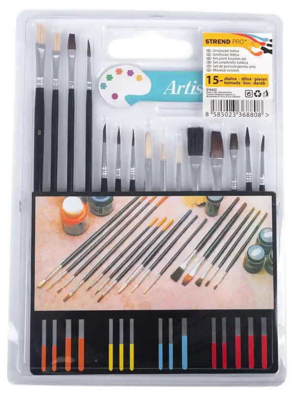 Ultima șansă Pensoane Set, 15 bucati