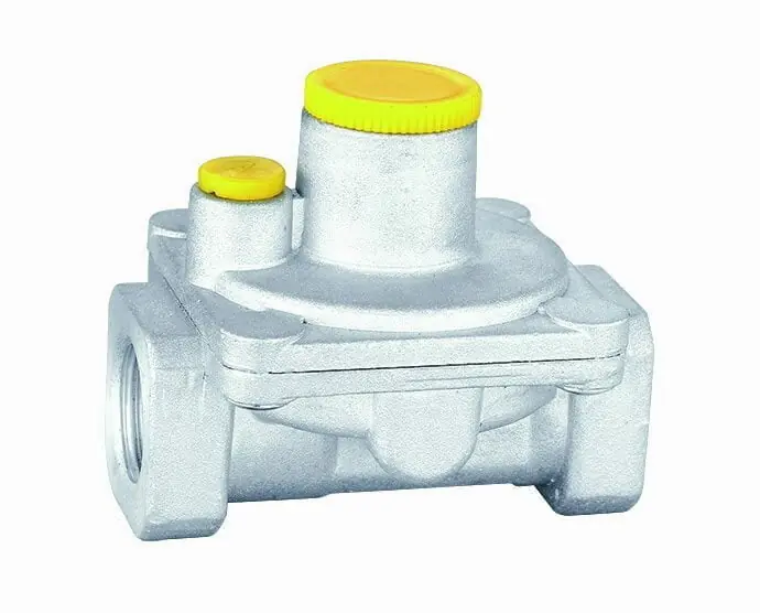 Ofertă Regulator gaz cu filtru, 1/2”, ELG-GA12FF, Everpro